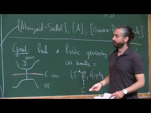 International Conference on Symplectic Topology - The wrapped Fukaya category of a Weinstein...