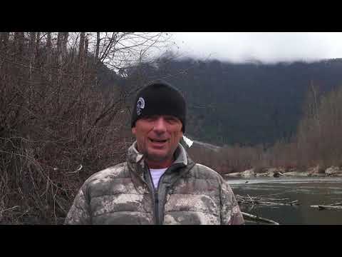 SASQUATCH.........My Friend Ran Into One