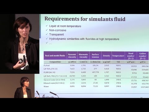 Noble Metal Behavior and Extraction in Molten Salt Reactor - Dr. Elisa Capelli @ ThEC2018