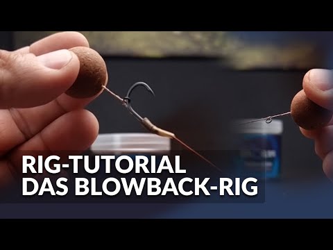 Das Blowback-Rig | Rig Tutorial zum Karpfenangeln | P.R. Baits | Carpfishing | Boilie