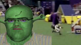 shrek