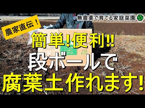 枯れ葉を使った肥料の作り方は？葉を再利用して適切に変形するにはどうすればよいですか?  庭園