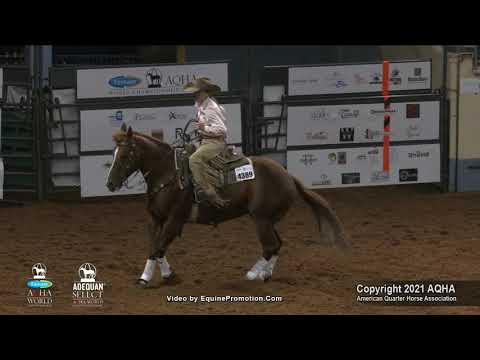 Sheza Voodoo Dr & Karen Stallings Win AQHA Title