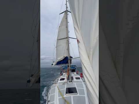 De vento em popa: veleiro Oceanus voando .