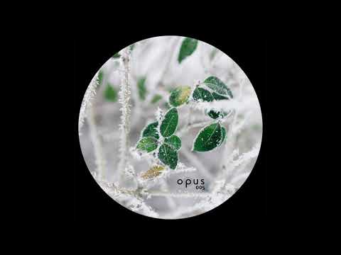 Chiodan - A Fost Odata [OPUS005]