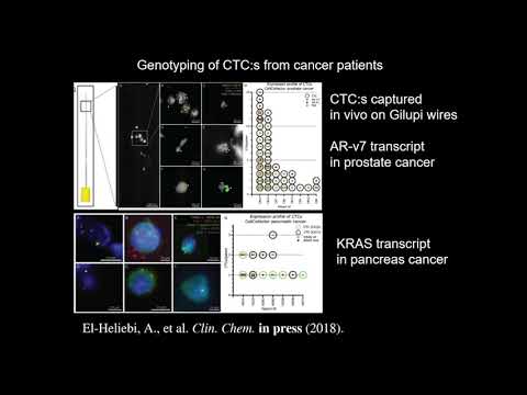E14.2 Sequencing single cells in situ