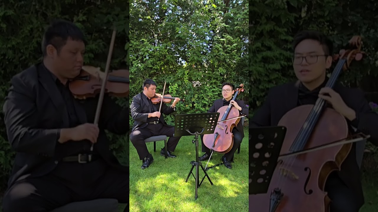 Promotional video thumbnail 3 for Austin Chao - Professional Cellist