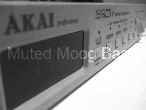Akai SG01v Vintage Sound Module - emulates analog synths and organs - very rare image 10