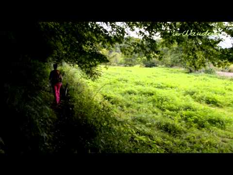 Natursteig Sieg Etappe 11 Wissen-Scheuerfeld