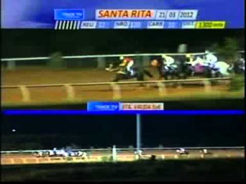 YELLOW WOLF 6V MIERCOLES 21 MARZO SANTA RITA AUDIOHIPISMO