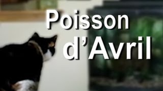 023 POISSON D'AVRIL