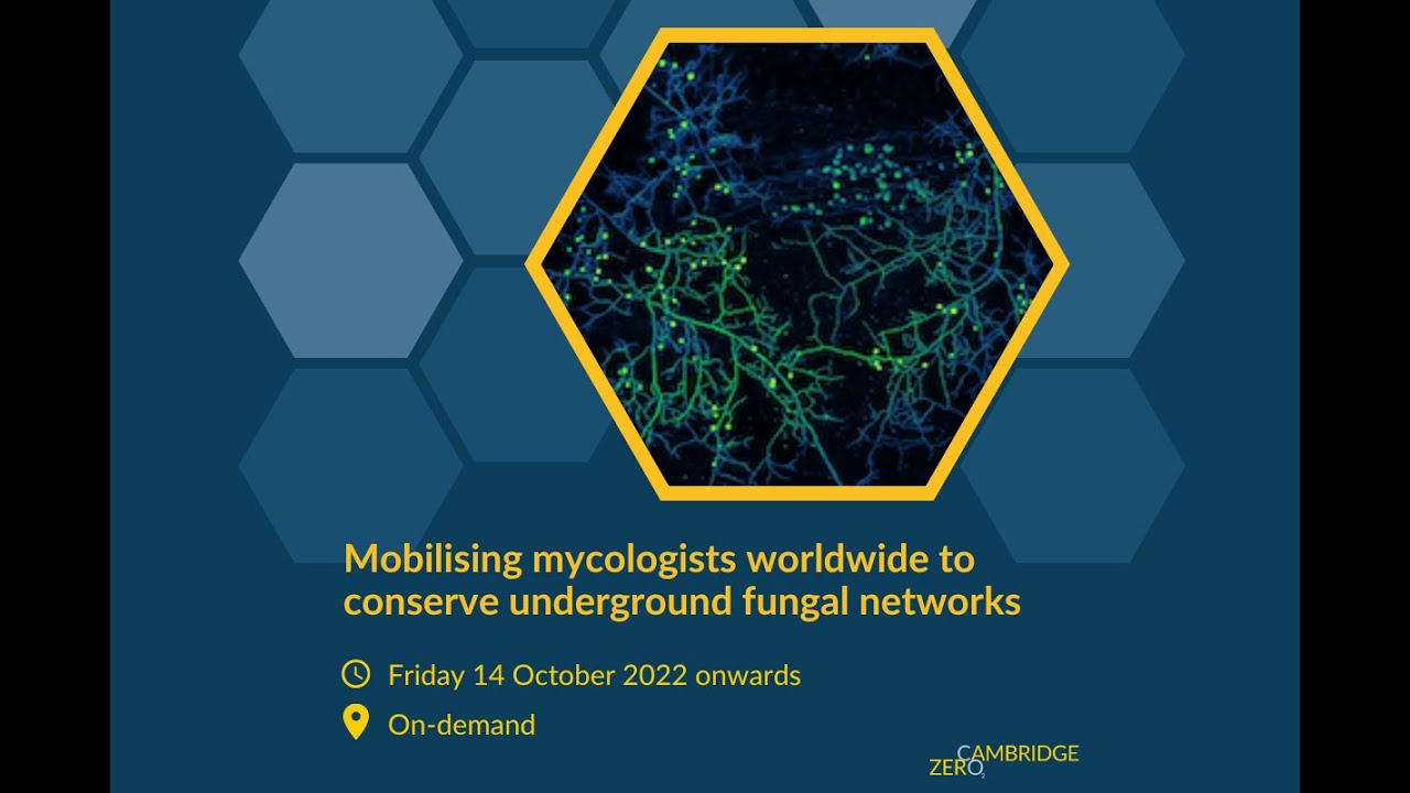 Mobilising mycologists worldwide to conserve underground fungal networks