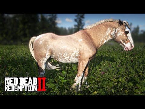 Working with Horse Training and Sales - In Search of Wild Horses - Red Dead Redemption 2