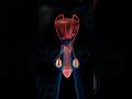 Male Reproductive Organs Education