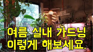 여름철 실내 가드닝 방법