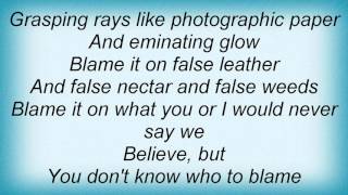 18892 Posies - Who To Blame Lyrics