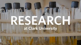 Research at Clark