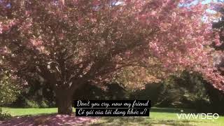 さくら(独唱) english ver | cover by Rebecca