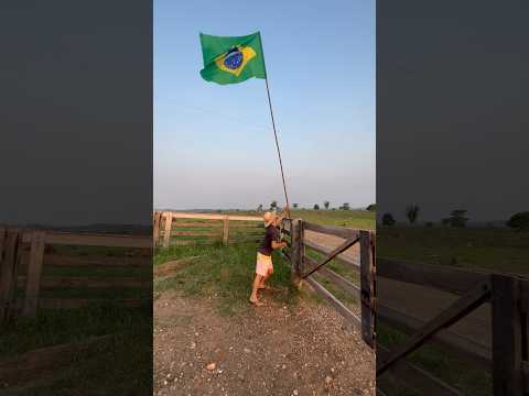 Bandeira do Brasil 🇧🇷