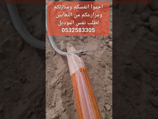 جهاز طارد للثعابين والفئران والعقارب (شحن مجاني)