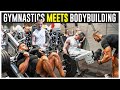 Gymnast Tries Bodybuilding For The First Time Ft. Nile Wilson