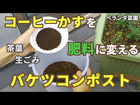 庭でのコーヒーかすの一般的な 3 つの用途 + 安全なガーデニングのために避けるべき 5 つの間違い!  庭園