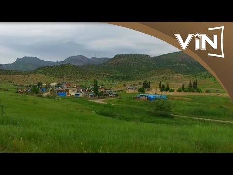 Tehsin Taha- Gel Buhare