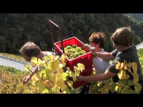 St. Jodern Kellerei YouTube-Vdeominiatur 14