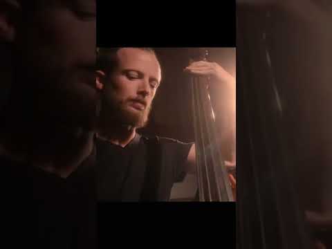 Shudder - Marty O'Reilly and the Old Soul Orchestra
