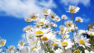 Johnny Mathis - While We're Young