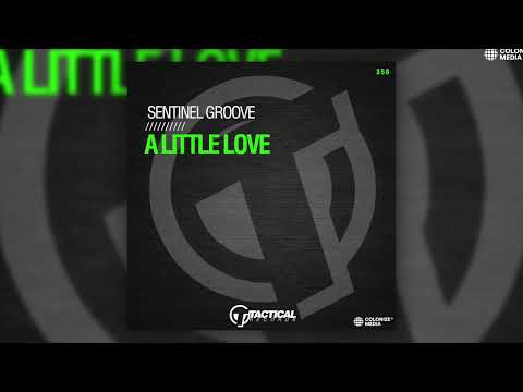 Sentinel Groove - A Little Love