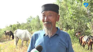 Конный фестиваль Дайчин Тенгри (09.07.2019)