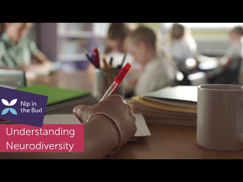Understanding neurodiverse children in your school
