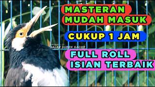 Download lagu Burung Jalak Suren Isian Mewah Gacor Full Isian Tembakan Cililin Tengkek Buto mp3