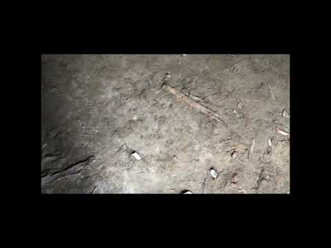 [Cidade de Higashiura, província de Aichi] Vídeo de introdução da vila de Ogawa Gozo “Gozo Exploration”