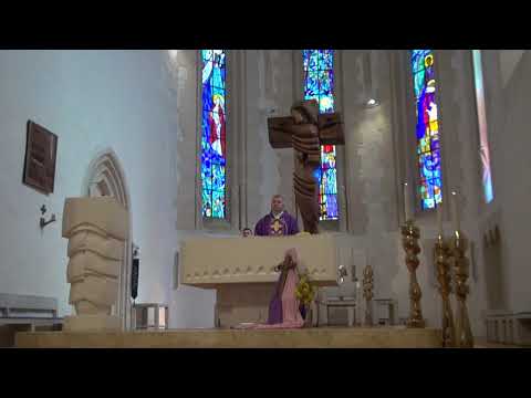 Hodočašće u Voćin