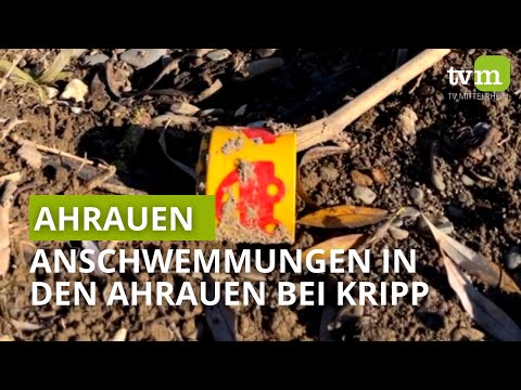 Alluvial deposits in the Ahrauen | 09.11.21