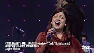 CARNAVALITO DEL DUENDE - Sinfónica Intercultural