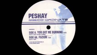 Peshay Featuring Co-Ordinate - You Got Me Burning