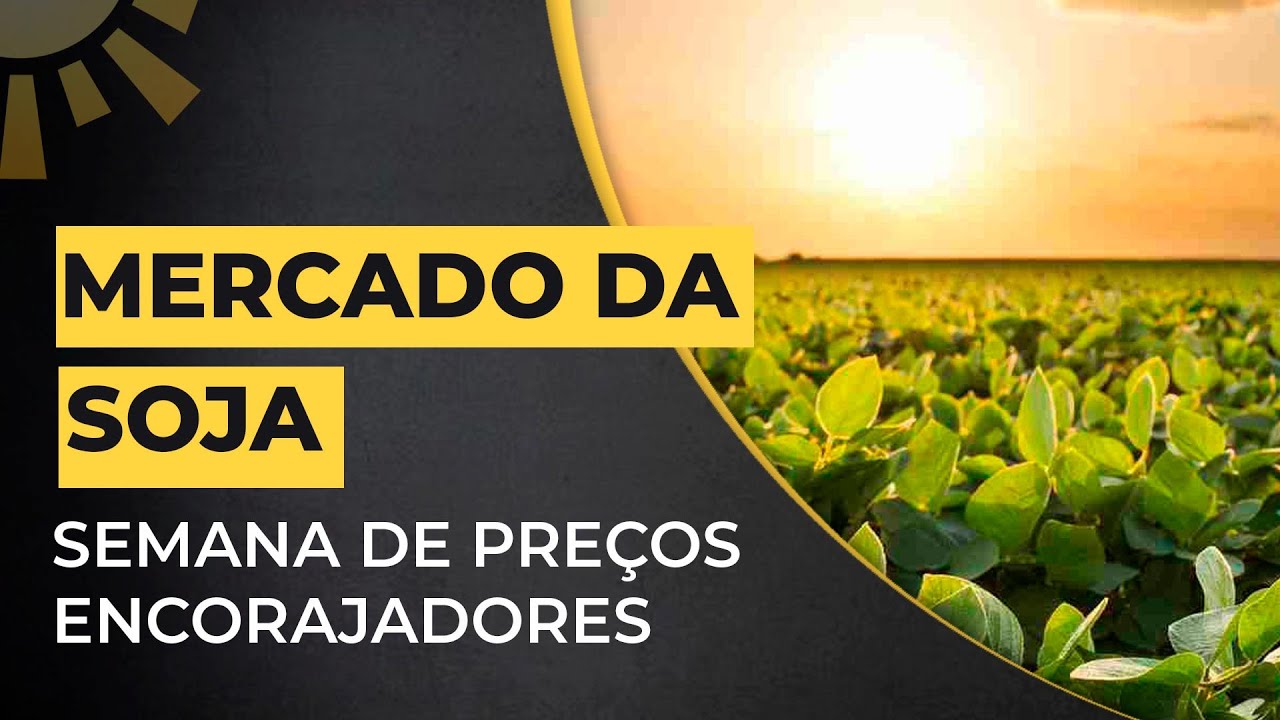 MERCADO DA SOJA: Semana de preços encorajadores