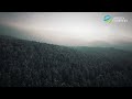 In March 2026 Morita Forestry S Phase 2 Woodland Project Was Fully Operational