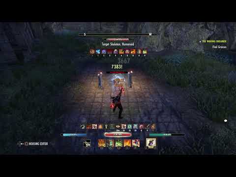 Stamina Dragonknight 49k DPS (3 mil dummy test) - Scalebreaker ESO PS4