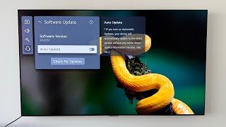 LG OLED update 23.21.57, issues FIXED?