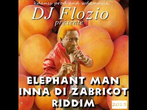 ELEPHANT MAN INNA DI ZABRICOT RIDDIM BY DJ FLOZIO 2013