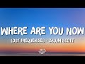 Lost Frequencies & Calum Scott - Where Are You Now (Lyrics)