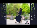 Eternal Love OST 凉凉 Liangliang L ERHU Cover By LUYIFEI