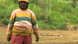 Download lagu Lagu duri 'Cawi' mp3 Download lagu Lagu duri 'Cawi' mp3