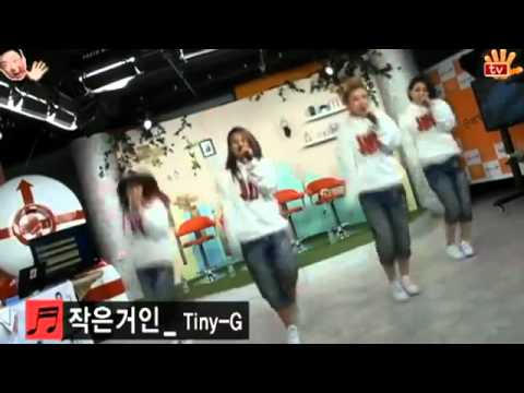 Best Hot Clip : Tiny-G at sonbadak TV