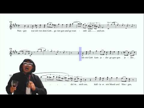 Richard Strauss "Ariadne auf Naxos" Zerbinetta aria 1912 (HD version)