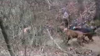 MOV02c